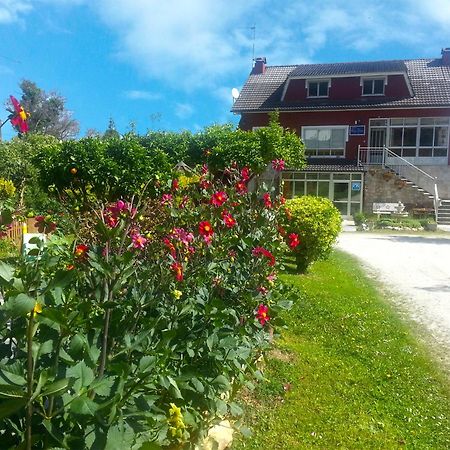 Pension Casa Elena Foro Exteriör bild