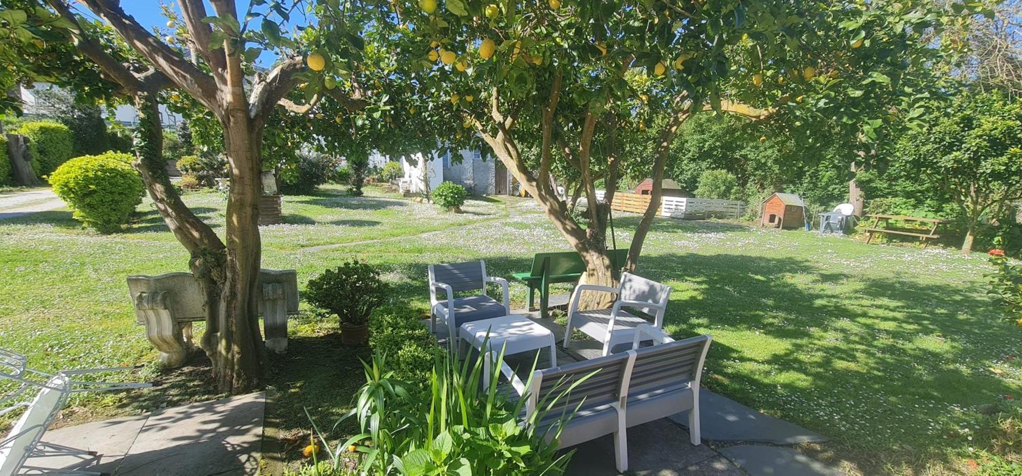 Pension Casa Elena Foro Exteriör bild